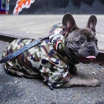 Dog's Camouflage Windbreaker - MeeowShop