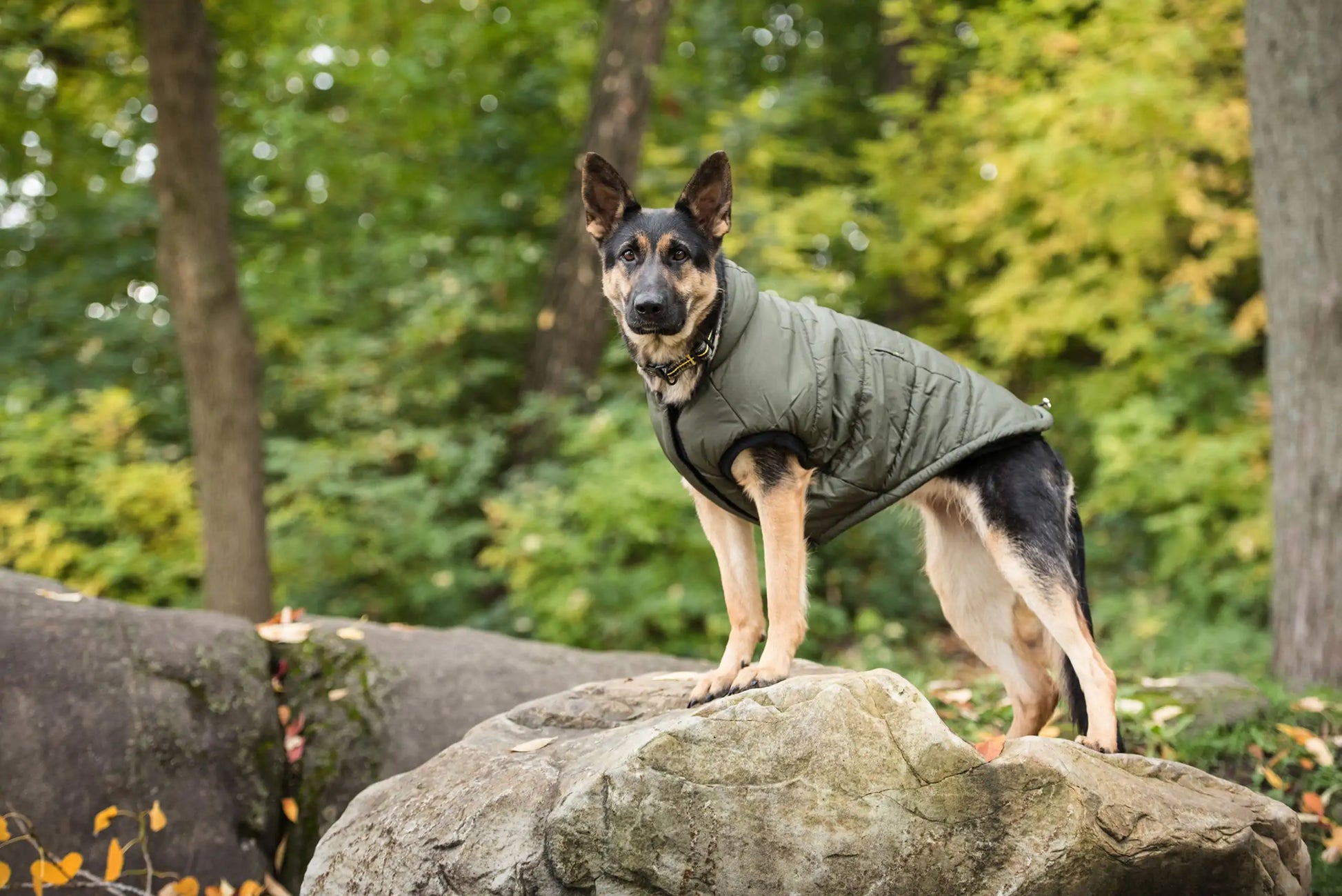 Dog's Dark Camo Army Parka Jacket - MeeowShop