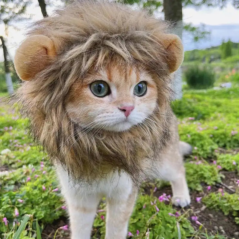 Cat's Lion's Mane Costume - MeeowShop