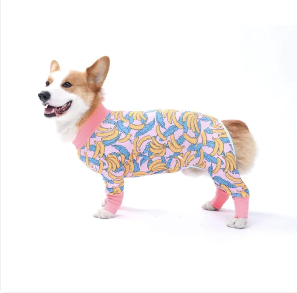 Pet's Long Sleeved Onezies - MeeowShop