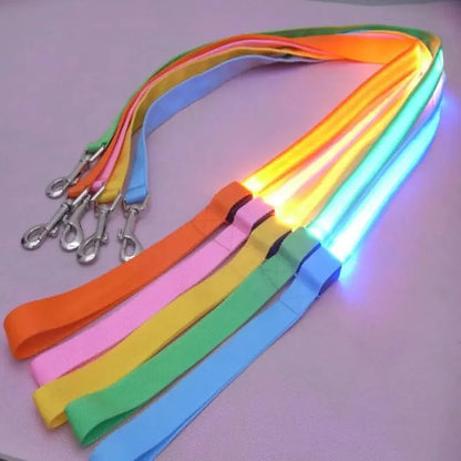 Dog's LED Light Leash - MeeowShop