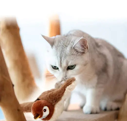 Cat's Plush Bird Toy - MeeowShop