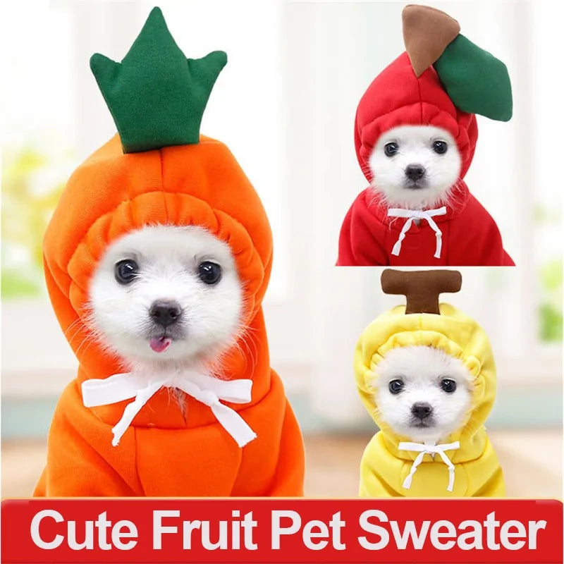 Pet's Warm Winter Clothes - MeeowShop