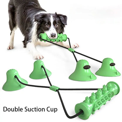 Dog's Chewy Toothbrush Toy - MeeowShop