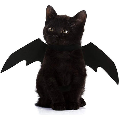 Pet's Black Bat Wings Halloween Outfit - MeeowShop