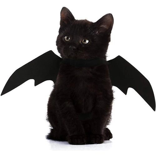 Pet's Black Bat Wings Halloween Outfit - MeeowShop