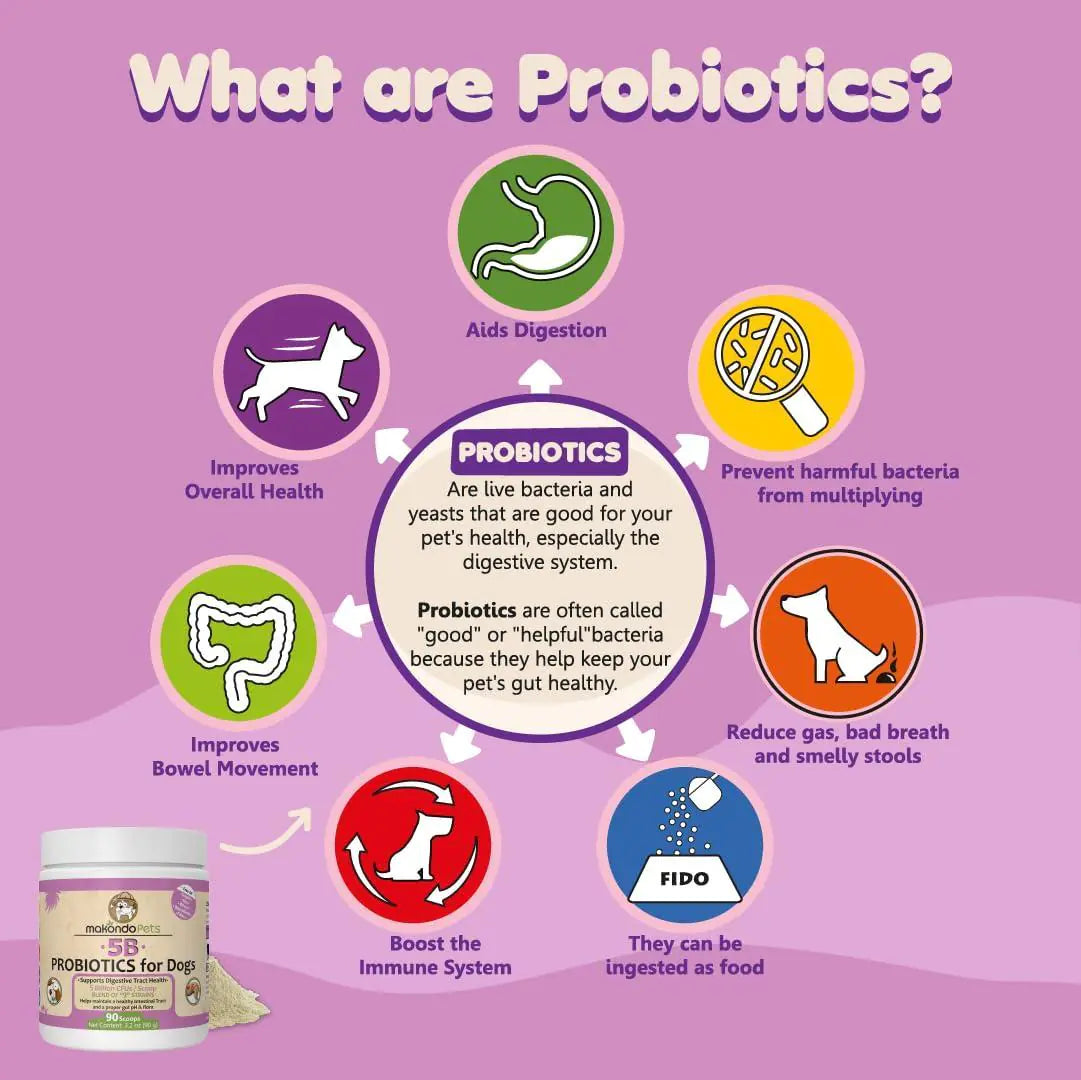 Probiotics for Dogs Puppies Extra Strength 9 Species 5 Billion CFU per Scoop