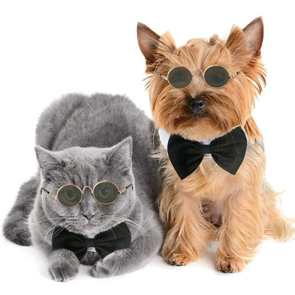 Pet's Fancy Glasses with UV Protection - MeeowShop