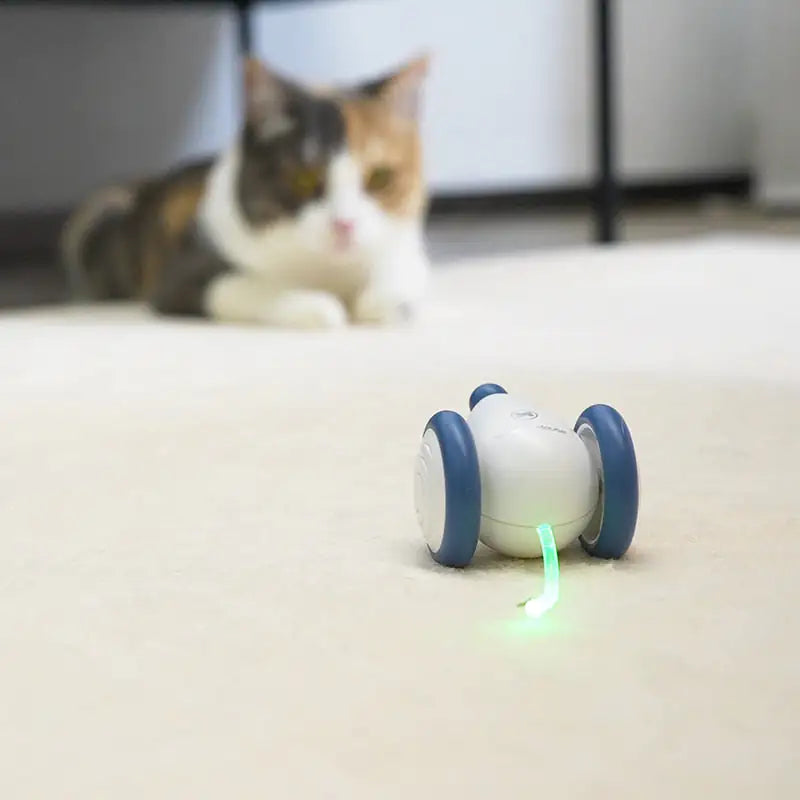 Cat's Electronic Wicked Mouse Toy - MeeowShop