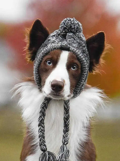 Pet's Fancy Winter Hat - MeeowShop