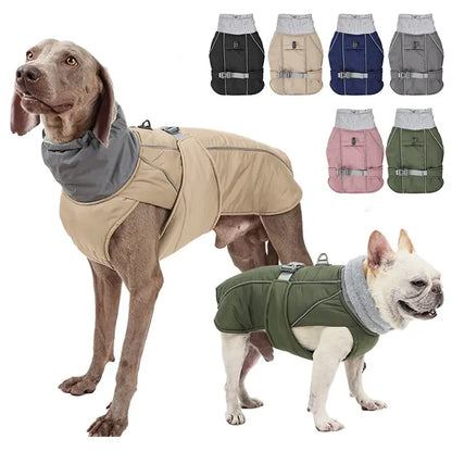 Dog's Winter Jacket - MeeowShop