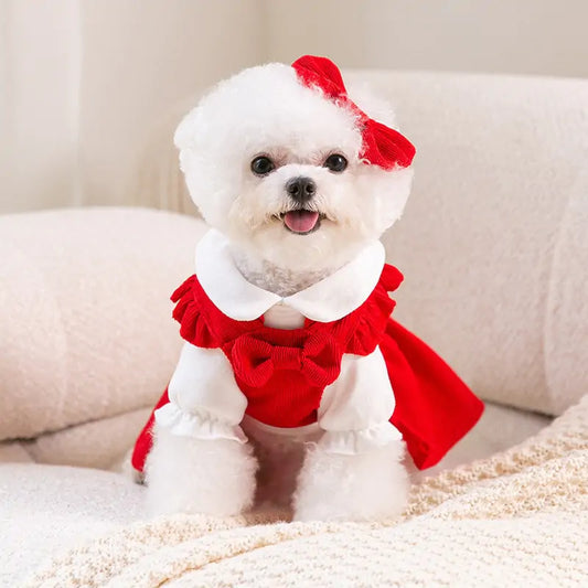 Pet's Bow Knot Dress Set