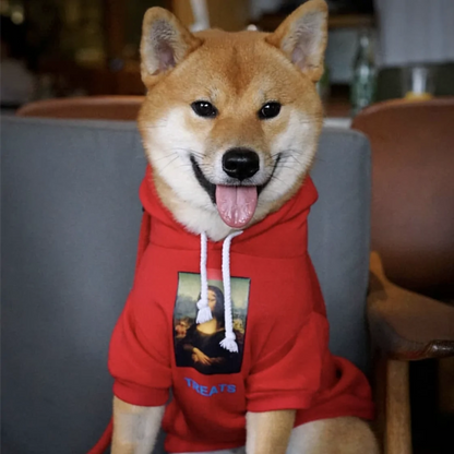 Dog's Fashionable Hoodie - MeeowShop