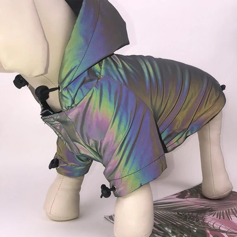 Dog's Flashy Rainbow Hoodie - MeeowShop