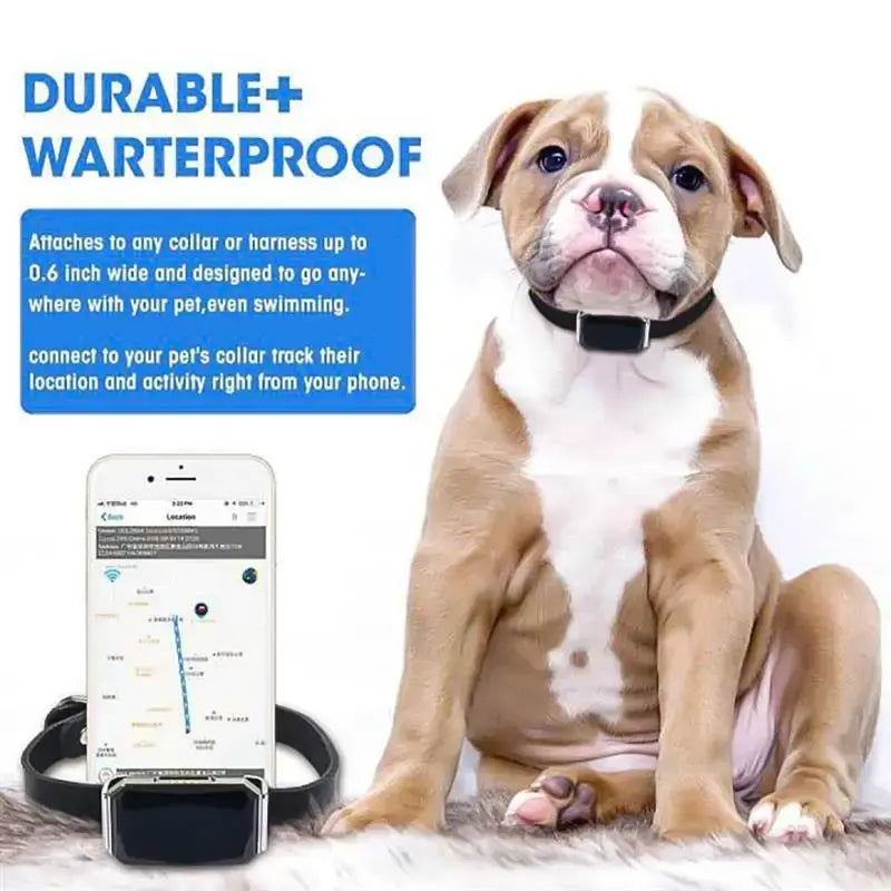 Pet's Waterproof Smart Collar GPS Locator - MeeowShop