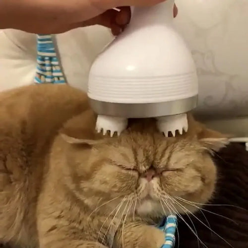 Pet's Electric Head Massager - MeeowShop