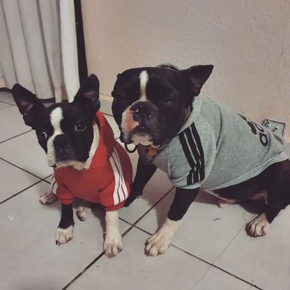 Pet's Sport Hoodies - MeeowShop