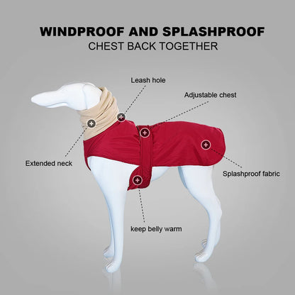 Dog's Warm Thick Winter Clothes - MeeowShop