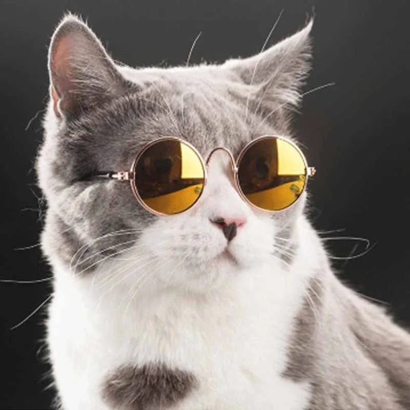 Pet's Round Vintage Sunglasses - MeeowShop