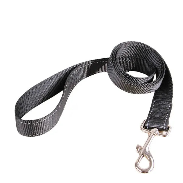 Dog's Rectractable Leash - MeeowShop