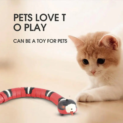 Pet's Smart Sensing Snake Teaser Toy - MeeowShop