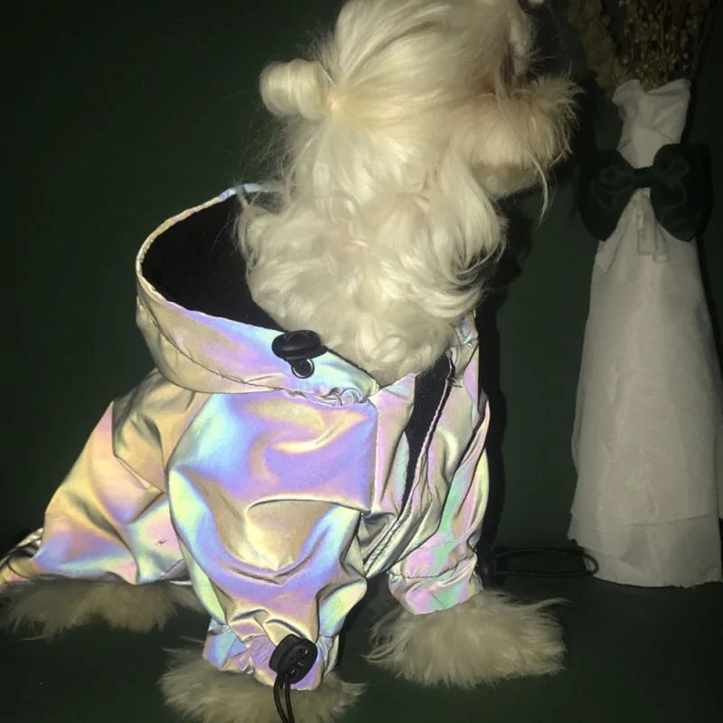 Dog's Flashy Rainbow Hoodie - MeeowShop