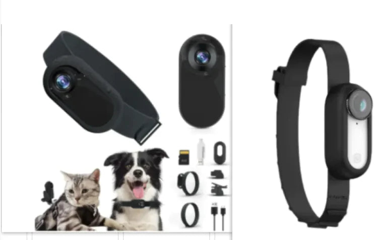 Pet's Wireless Pet Collar Camera