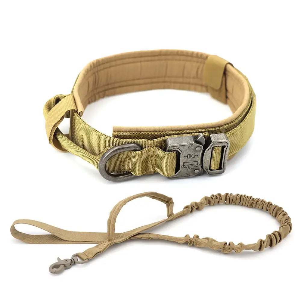 Dog's Camo Collar - MeeowShop