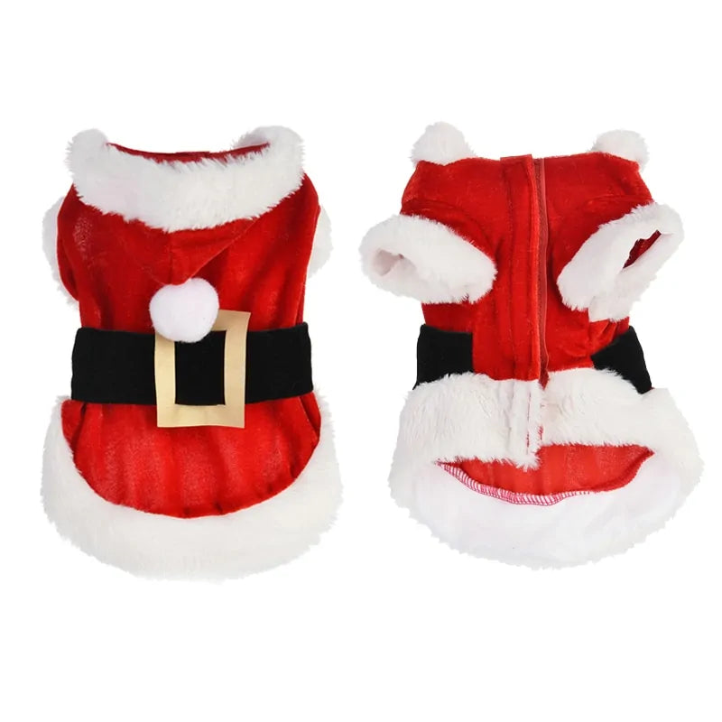 Pet's Santa Christmas Outfit - MeeowShop