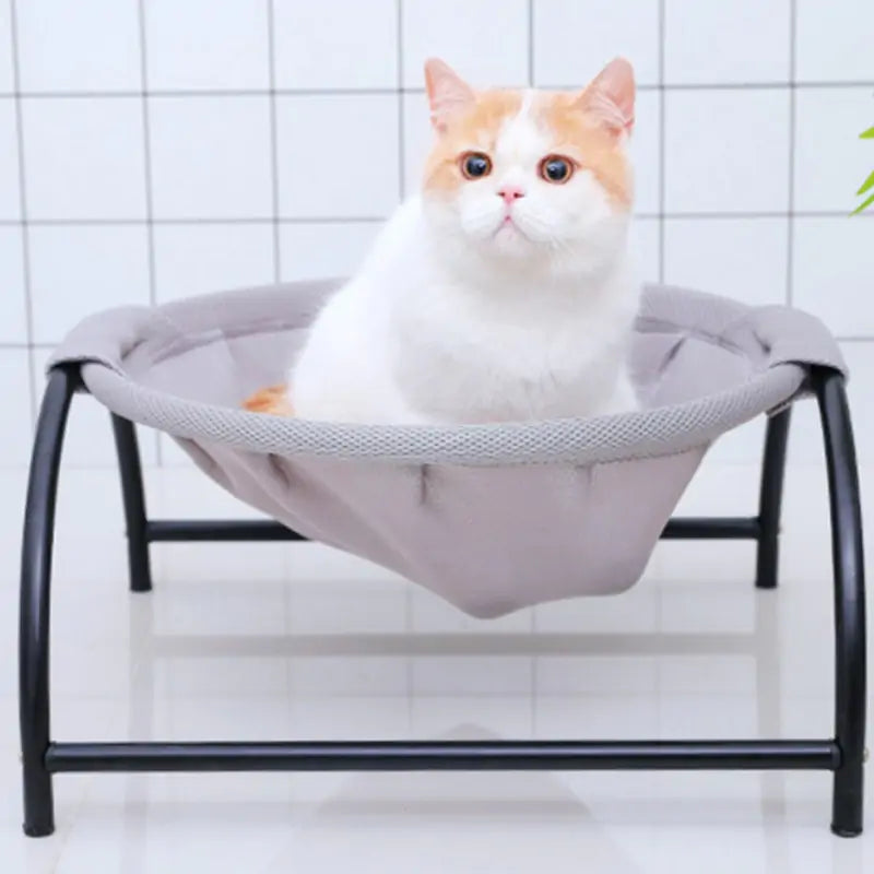 Cat's Iron Frame Hammock