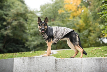 Dog's Fleece Army Camo Parka Jacket - MeeowShop