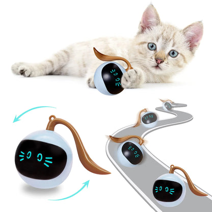 Cat's Electronic Ball - MeeowShop