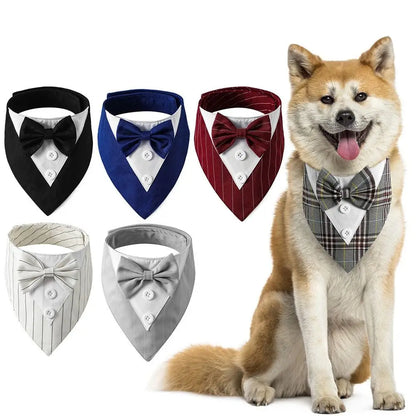 Pet's Fashionable Tuxedo Bow Ties - MeeowShop