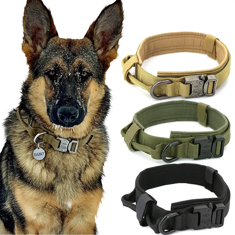 Dog's Camo Collar - MeeowShop