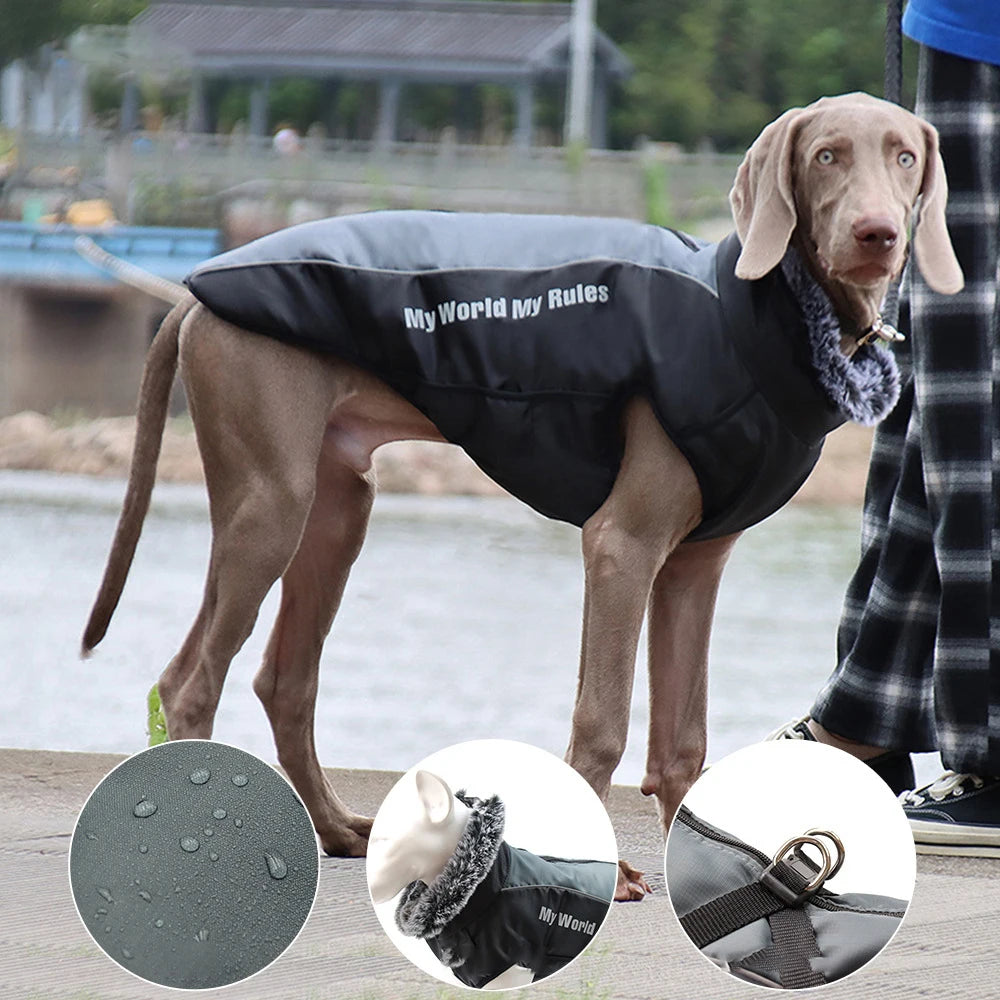 Dog's Waterproof Cotton Coat - MeeowShop