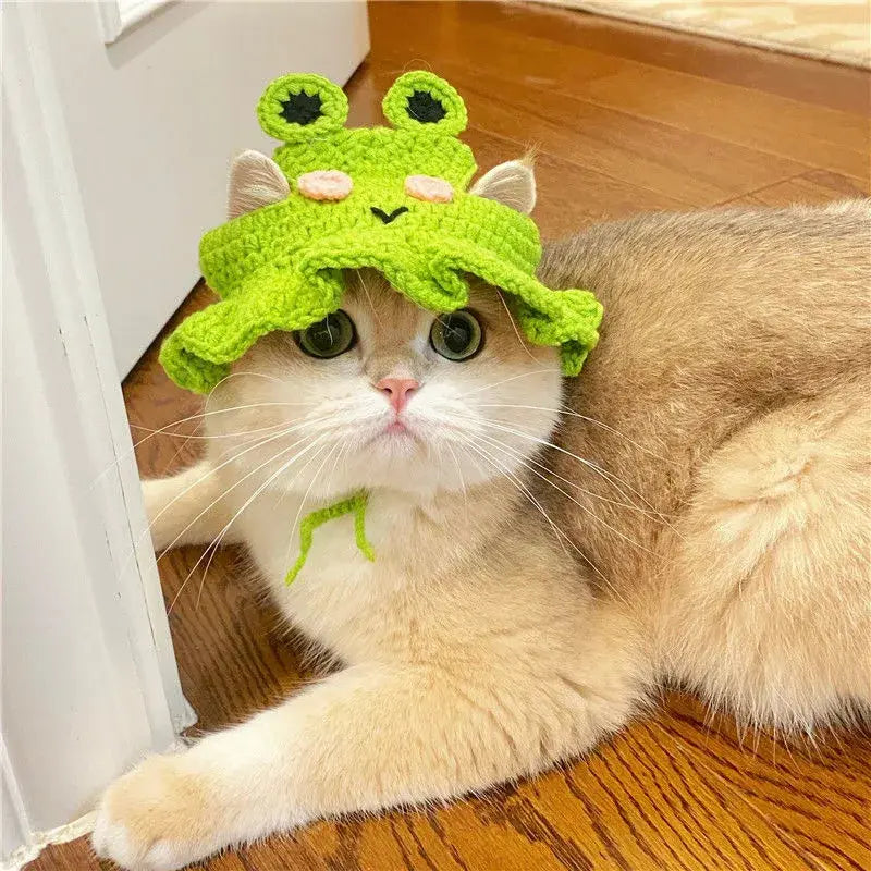 Cat's Cute Refined Hats | Flower, Frog & Strawberry - MeeowShop