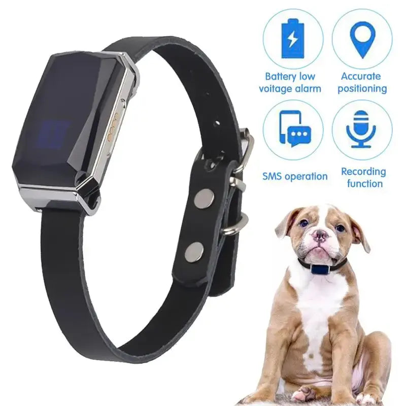 Pet's Waterproof Smart Collar GPS Locator - MeeowShop