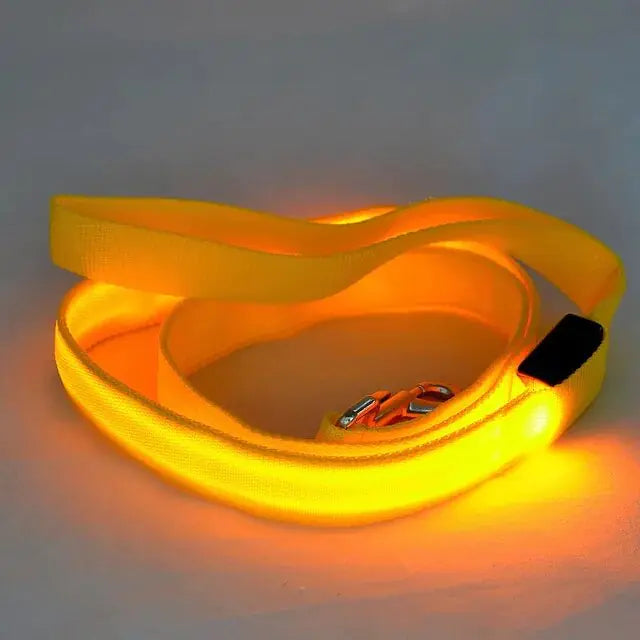 Dog's LED Light Leash - MeeowShop