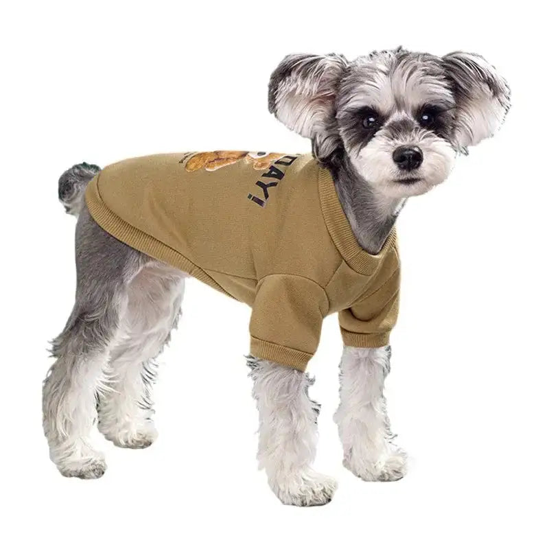 Pet's Pullover Onezie Bear Embrace - MeeowShop