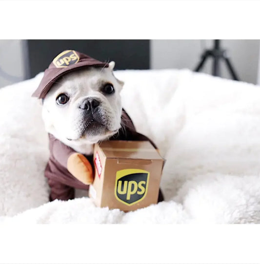 Pet's UPS Delivery Cosplay Outfit