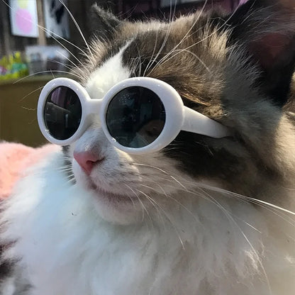 Pet's Sunglasses with UV-Protection - MeeowShop