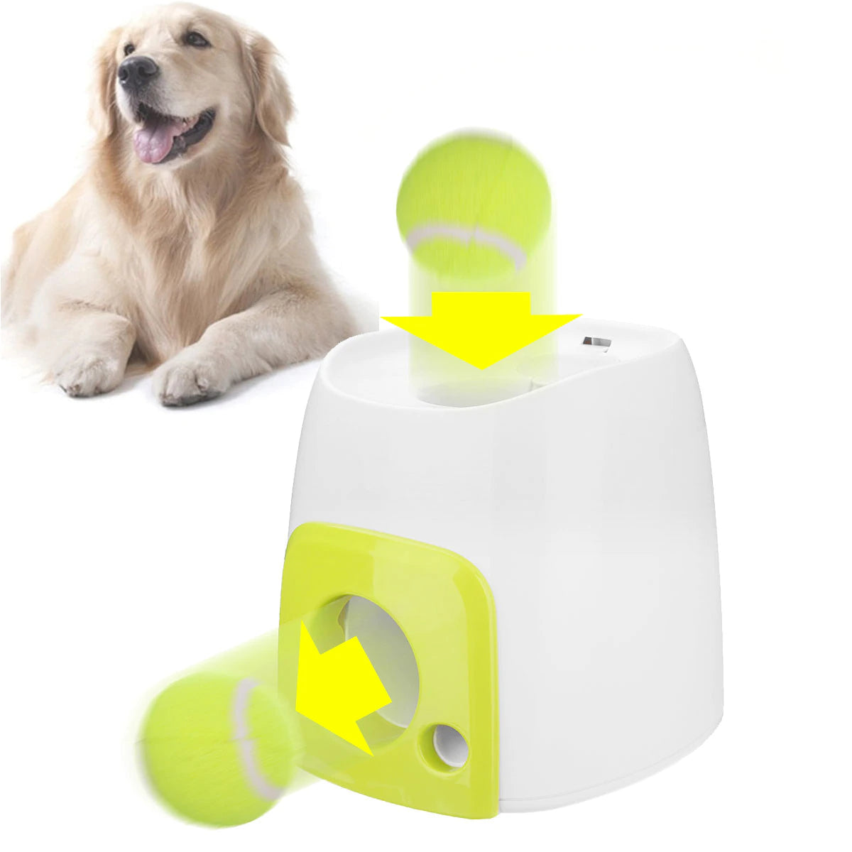 Dog's Automatic Ball Launcher