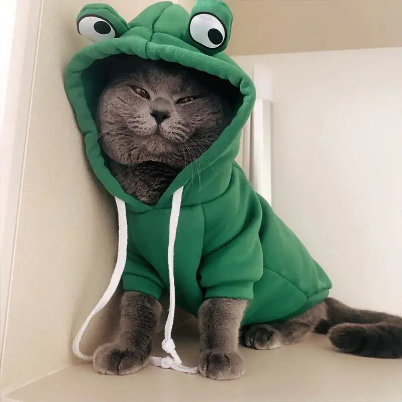 Pet's Halloween Costumes | Frog, Carrot, Banana - MeeowShop