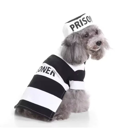 Pet's Cosplay Halloween Outfits | Multiple Selection