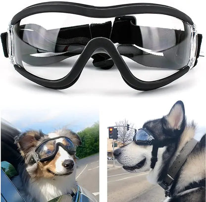 Doggo's Goggles | Adjustable Strap Goggles for Dog's - MeeowShop