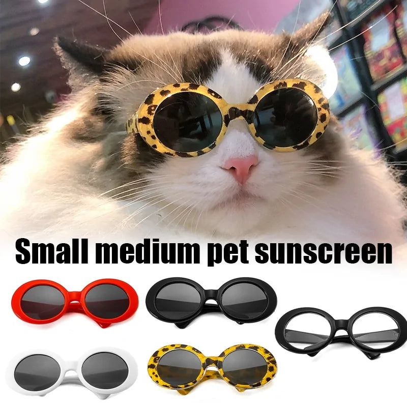 Pet's Sunglasses with UV-Protection - MeeowShop