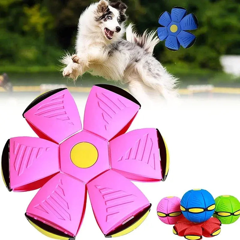 Dog's Flying UFO Toy - MeeowShop