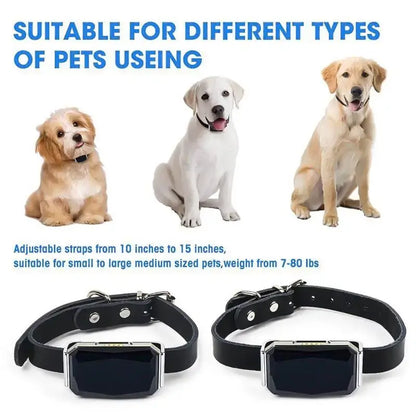 Pet's Waterproof Smart Collar GPS Locator - MeeowShop