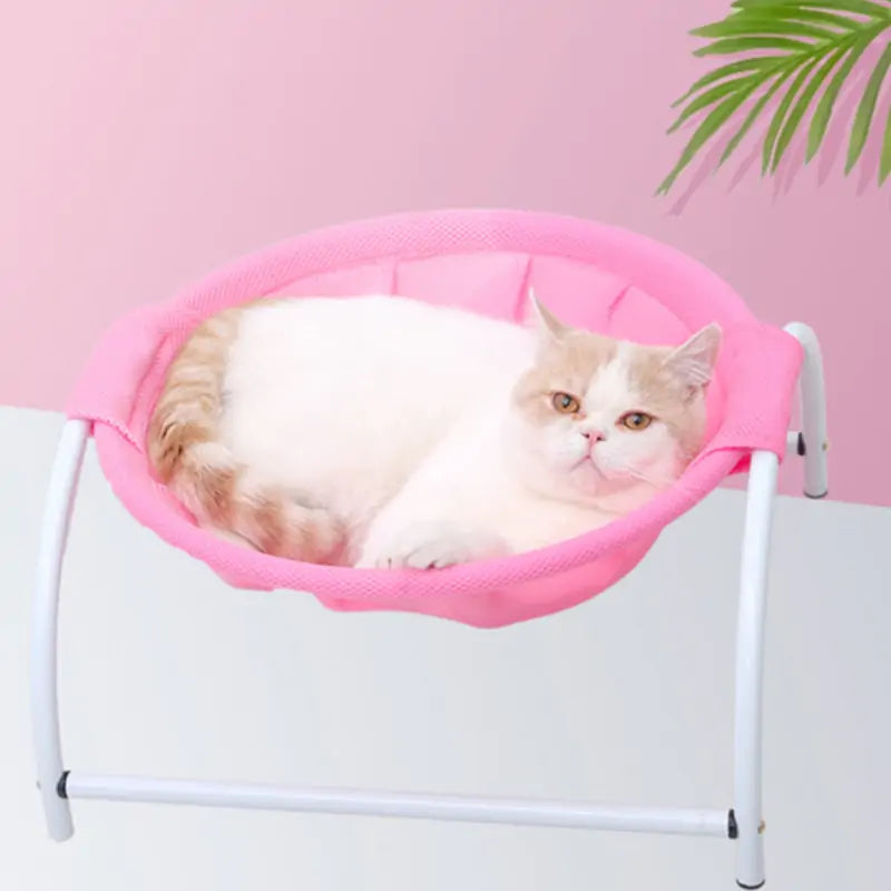 Cat's Iron Frame Hammock