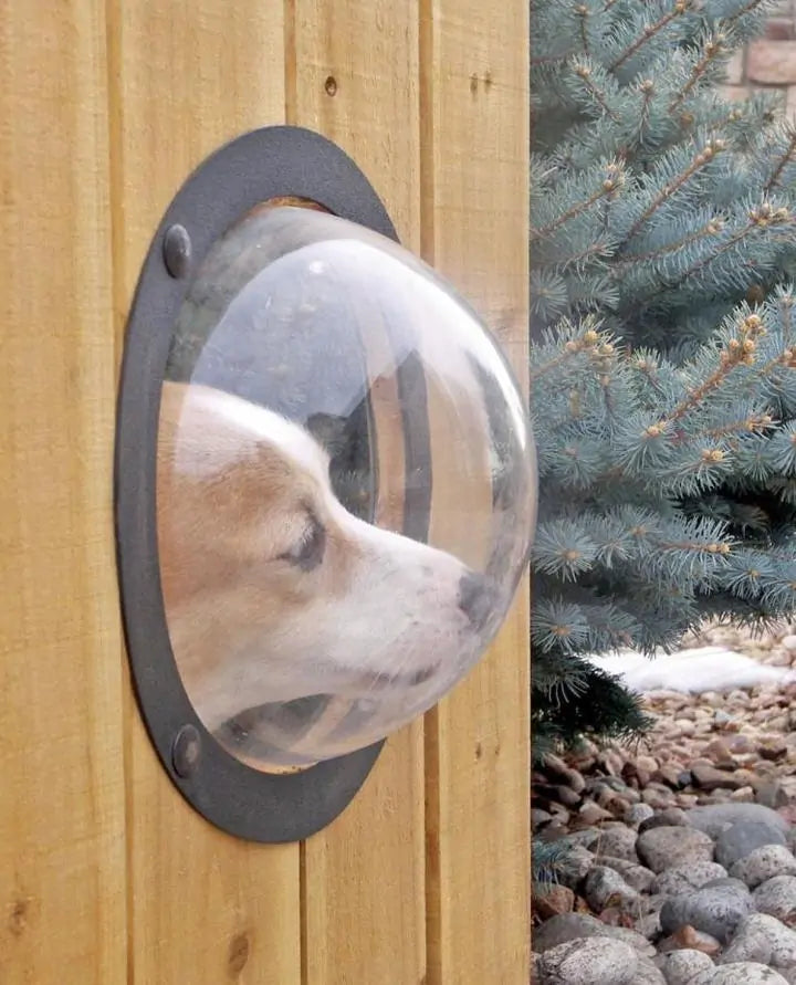 Pet's Peek Window Sphere Fence Modification - MeeowShop